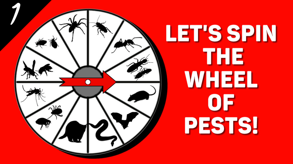 Wheel of Pests #1 - Bats
