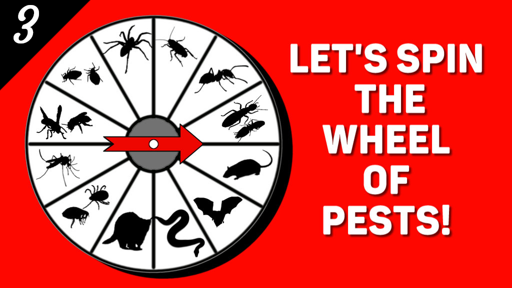 Wheel of Pests #3 - Snakes